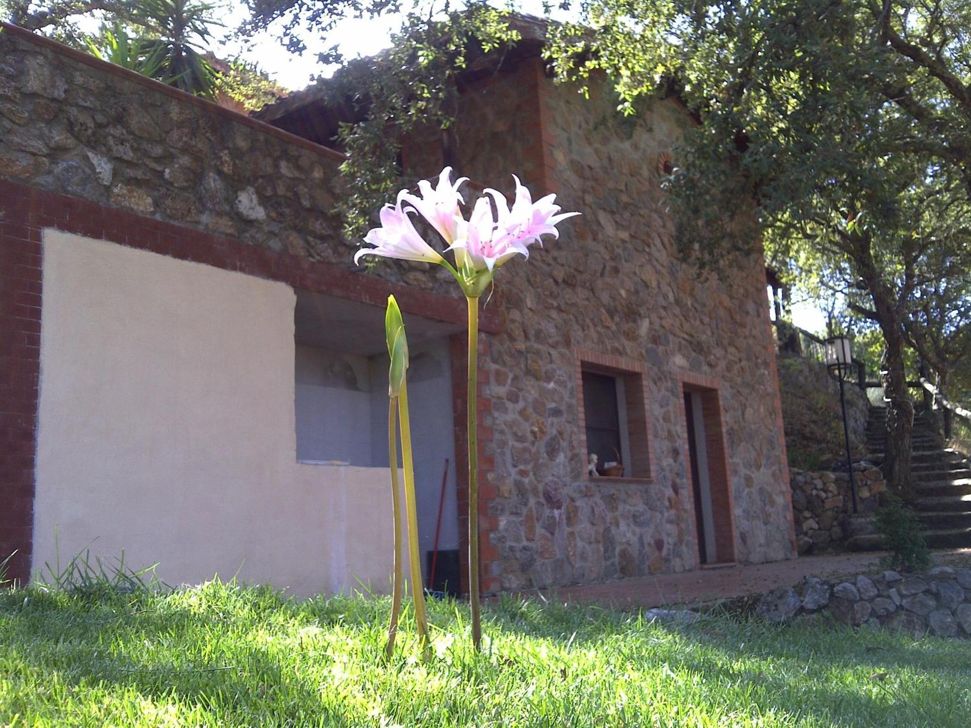 Gasthaus La Quercia Arbus Exterior foto